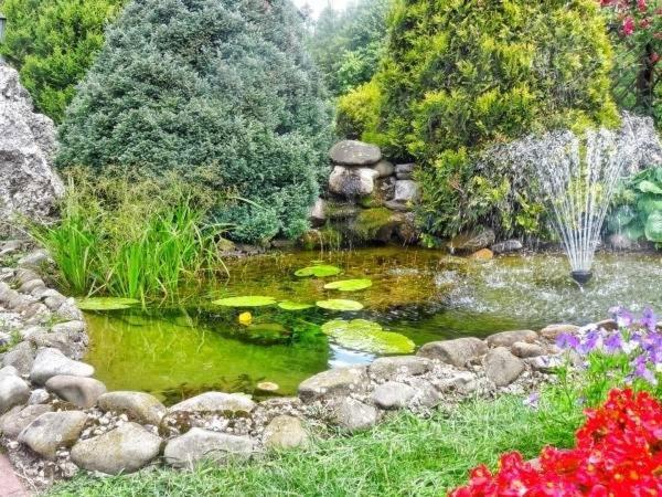 Skalny Apartamenty, Pokoje Ogrodzieniec Ngoại thất bức ảnh