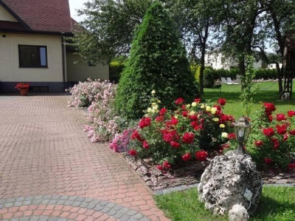 Skalny Apartamenty, Pokoje Ogrodzieniec Ngoại thất bức ảnh